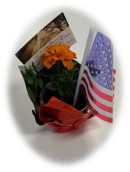 Marigold with flag